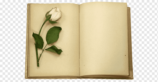 Книжки в виде сердца