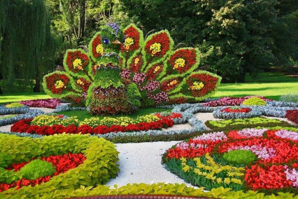 Моноклумба клумба