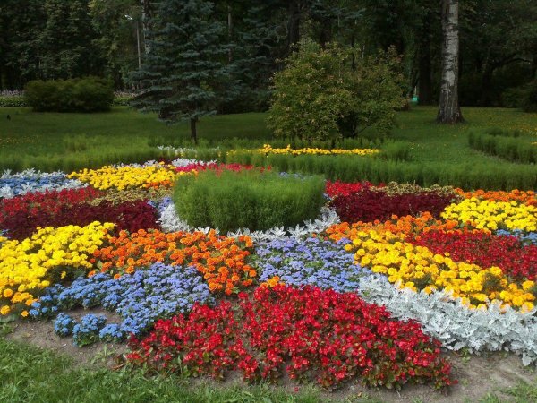 Формы клумб