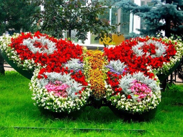 Арабеска клумба