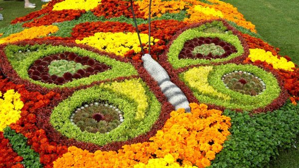 Моноклумба клумба