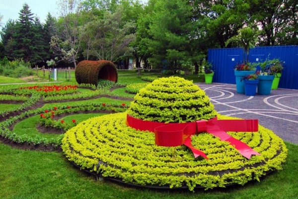 Орнаментные клумбы