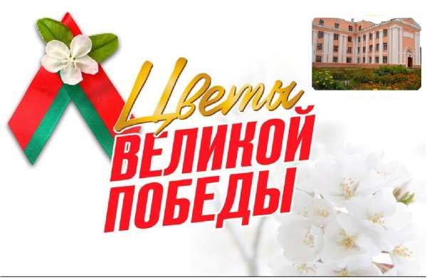 Акция цветы Победы