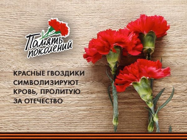 Я помню я горжусь