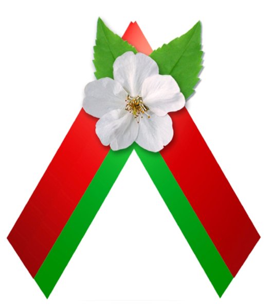 Гвоздики с георгиевской лентой