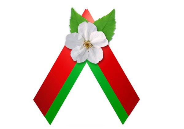 Живая Георгиевская лента из бархатцев