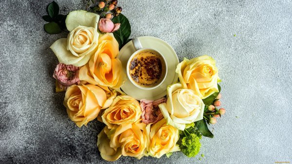 Красивые цветы и кофе