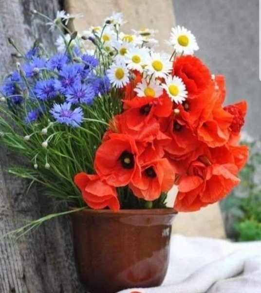 Красивые букеты с добрым утром