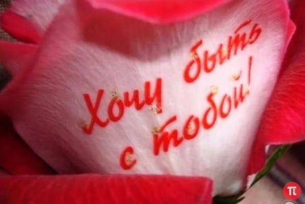 Цветы для любимой женщины