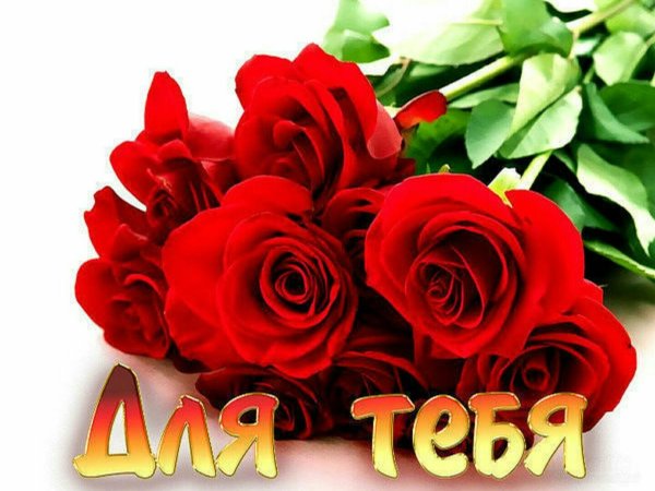 Цветы для любимой женщины с надписями