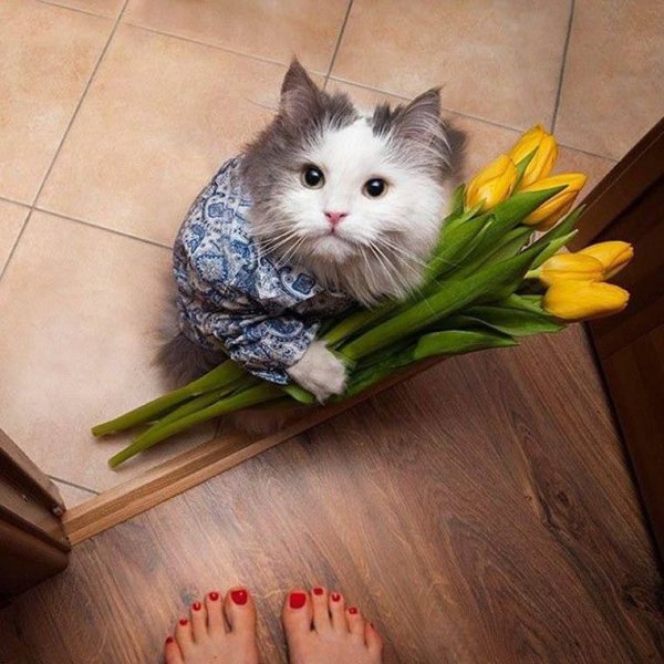 Веселый цветочек