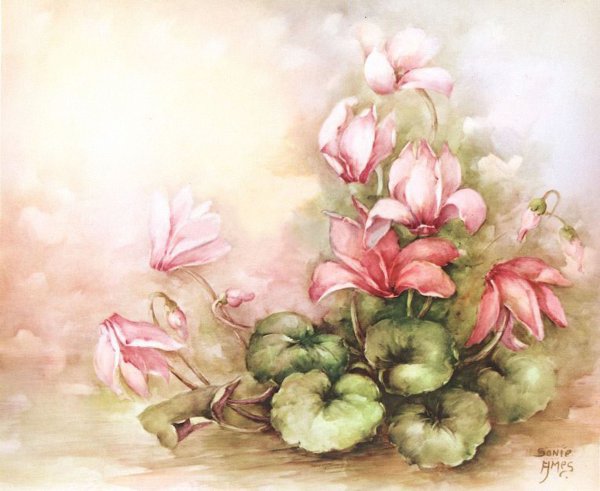 Сони Амес картины