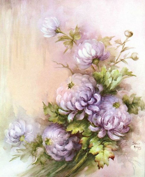 Розы Sonie Ames