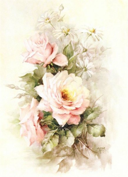 Розы Sonie Ames