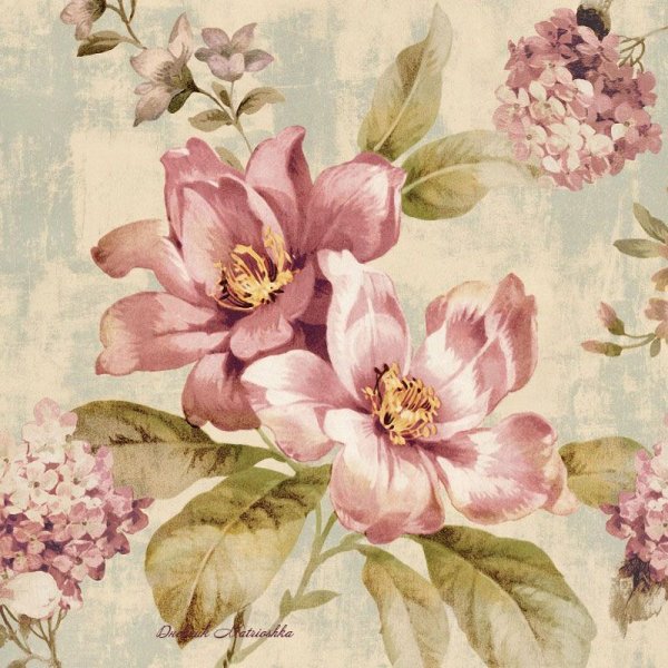 Катарина Кляйн шиповник