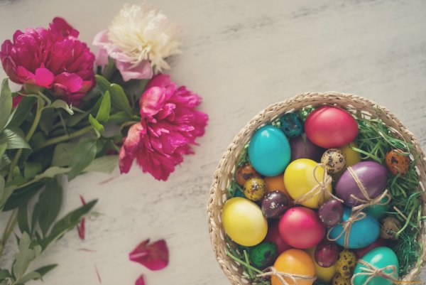 Happy Easter everyone ответы на вопросы