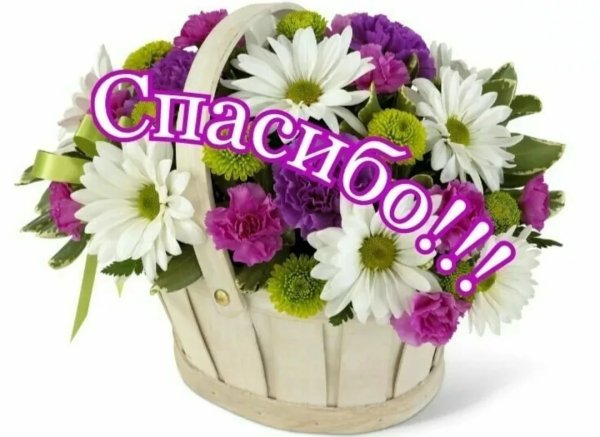Благодарность цветы