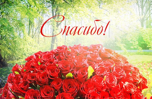 Открытка спасибо с цветами