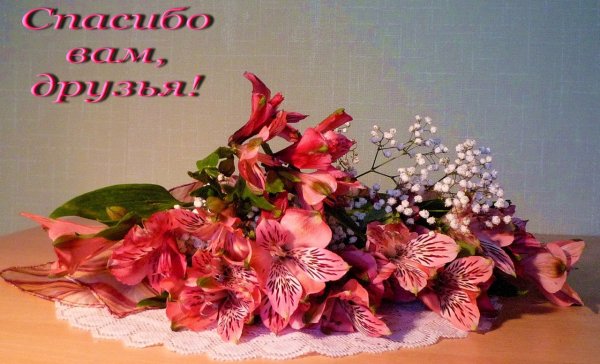 Благодарю букет