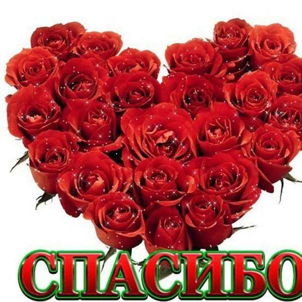 Стикеры с цветами и надписями