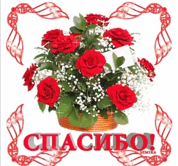 Спасибо с цветами