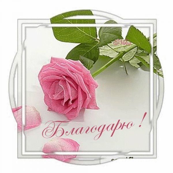 Светлана спасибо большое