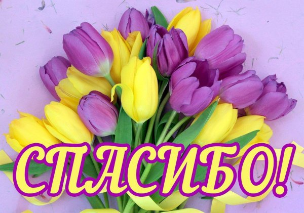 Открытки с благодарностью