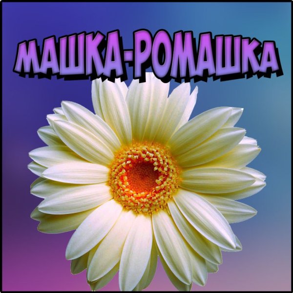 Цветы для Маши