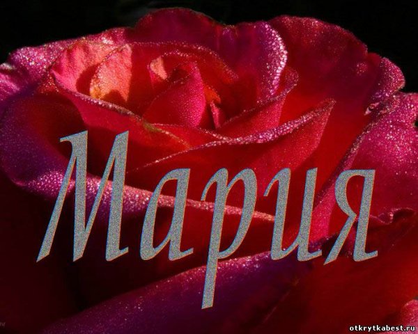 Букет для Марии