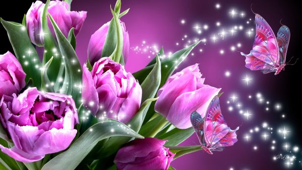 Весы CENTEK CT-2421 Orchid