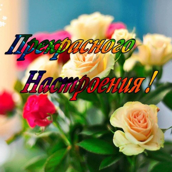 Доброе утро розы