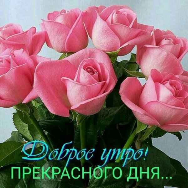 Светлого дня и хорошего настроения