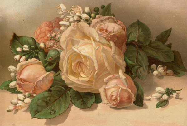 Художница Катарина Кляйн Catharina Klein