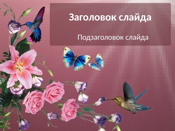 Красивые рисунки цветов и бабочек