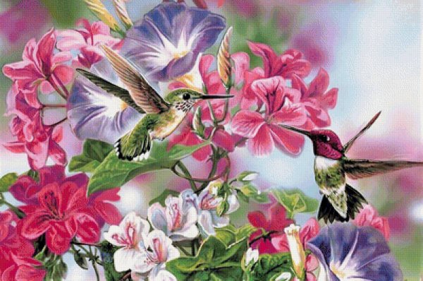 Красивая природа цветы птицы