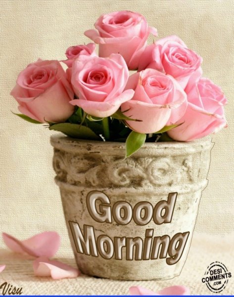 Good morning цветы