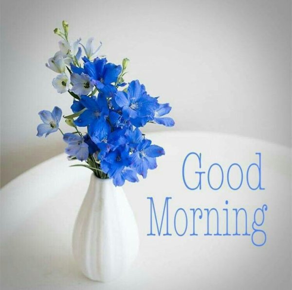 Good morning цветы голубые