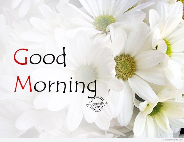 Good morning картинки цветы красивые