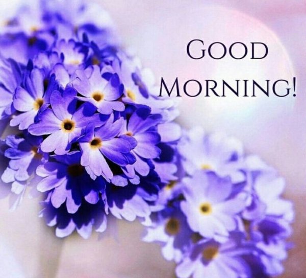 Good morning фото