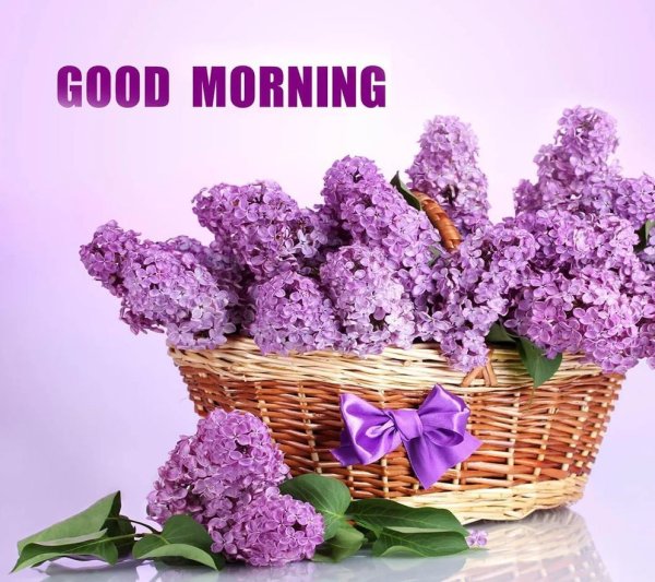 Good morning цветы