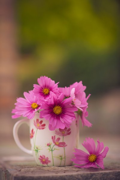 Good morning картинки