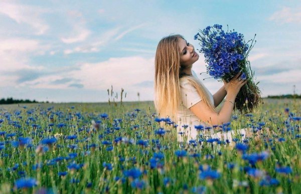 Цветы ромашки и васильки