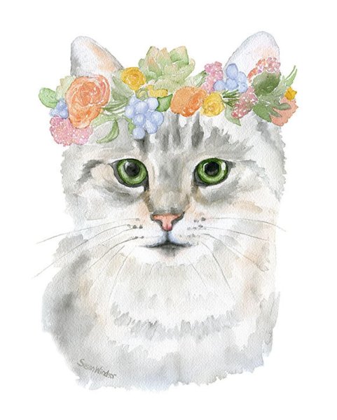 Кот с цветами акварель