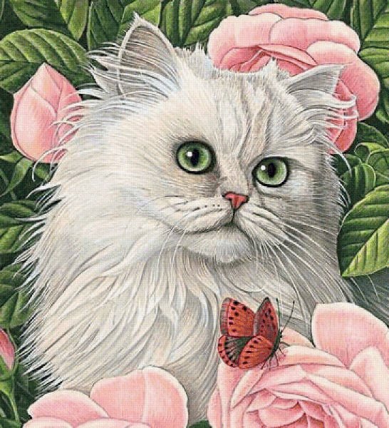 Котик с розами рисунок