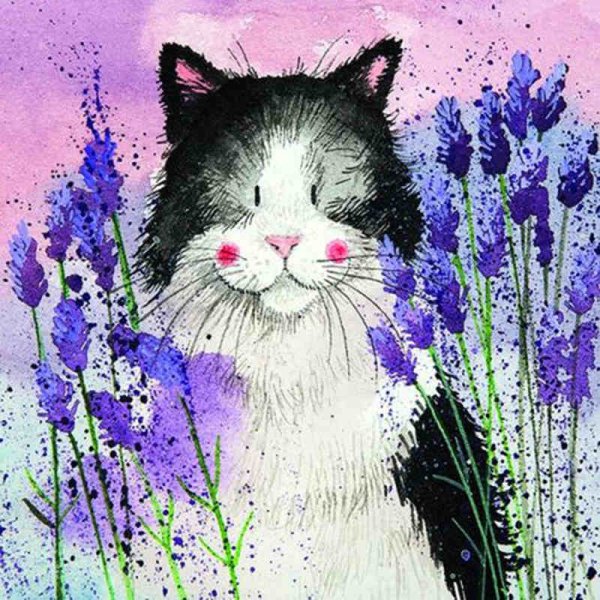 Котик с цветочком рисунок