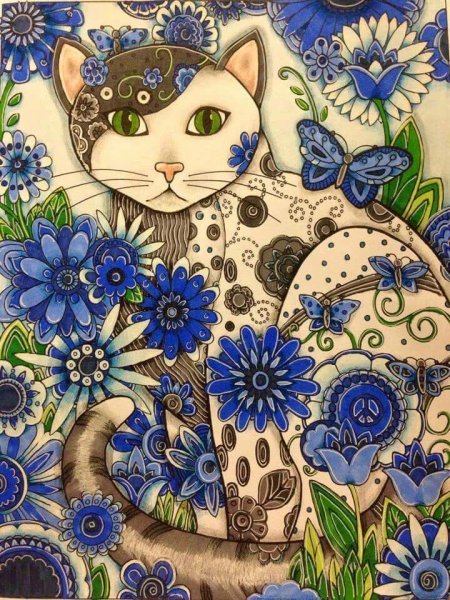 Карла Жерар коты