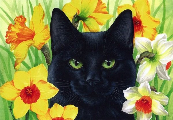 Ирина Гармашова коты