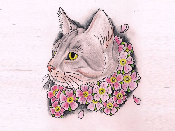 Кот тату эскиз цветной