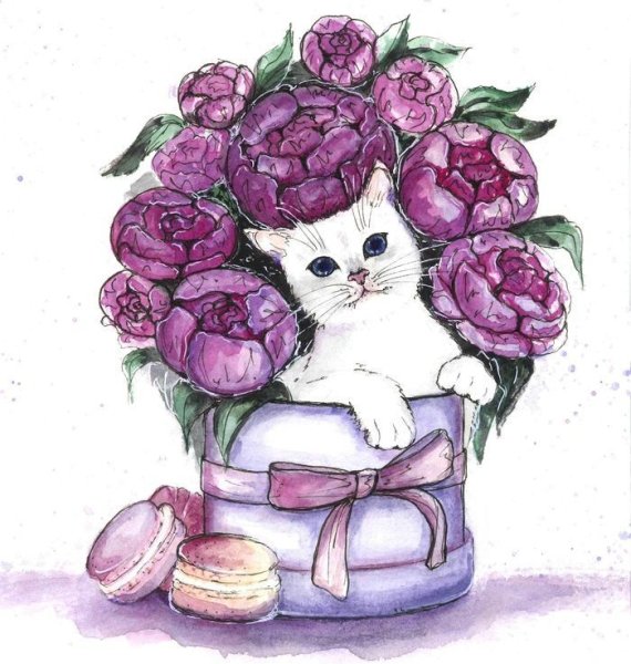 Котик с подарком и цветами