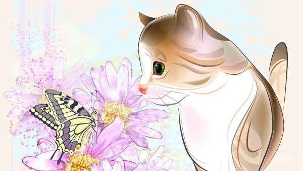 Котенок с бабочкой